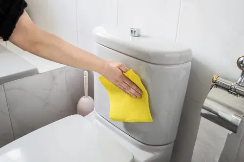 Como-limpar-vaso-sanitário-a-fundo-passo-a-passo