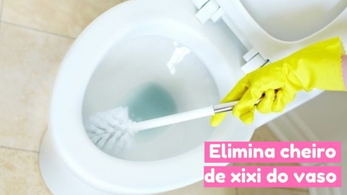 5 Dicas Infalíveis para Tirar Cheiro de Urina do Banheiro - Truques Simples